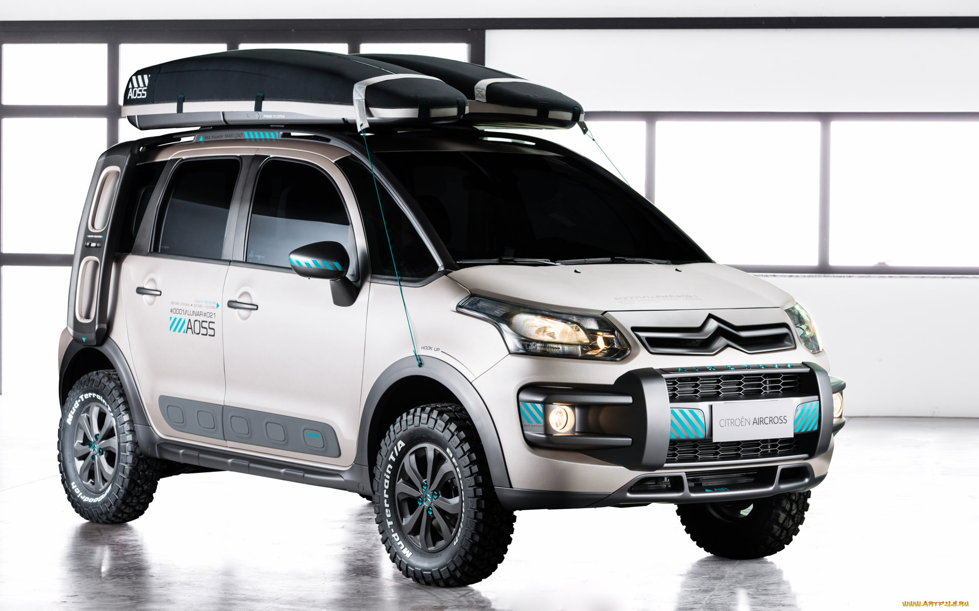 , citroen